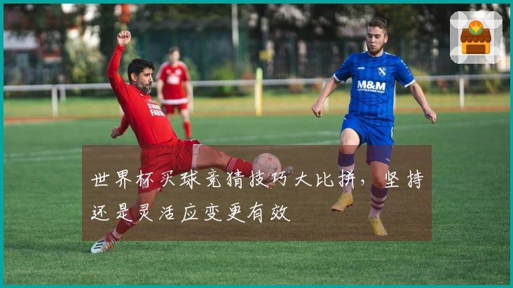 世界杯买球竞猜技巧大比拼，坚持还是灵活应变更有效