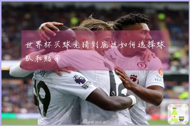 世界杯买球竞猜到底该如何选择球队和赔率