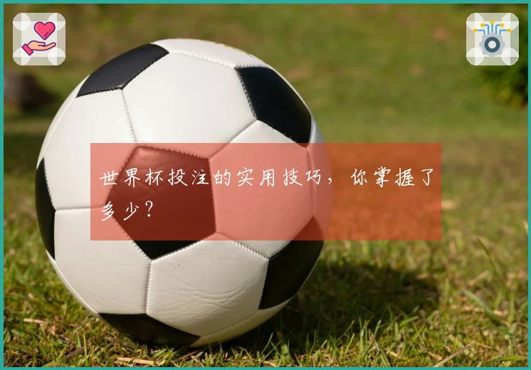 世界杯投注的实用技巧，你掌握了多少？