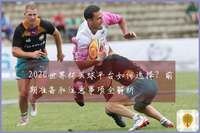 2026世界杯买球平台如何选择？前期准备和注意事项全解析