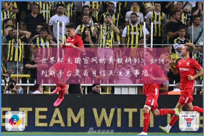 世界杯竞猜官网的真假辨别：如何判断平台是否可信及注意事项