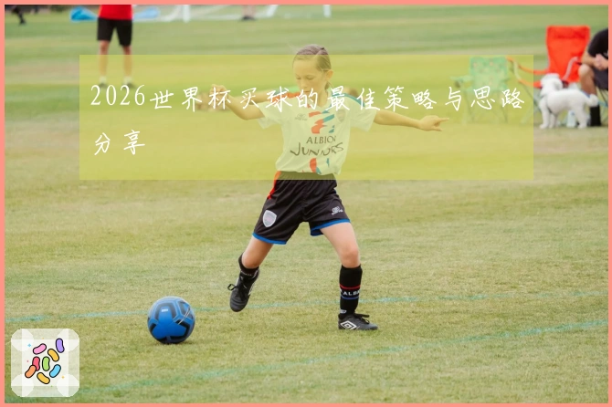 2026世界杯买球的最佳策略与思路分享