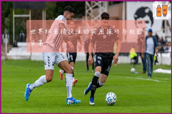 世界杯竞猜投注的实用技巧与经验分享