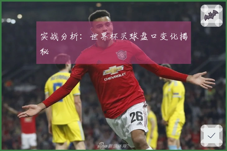 实战分析：世界杯买球盘口变化揭秘