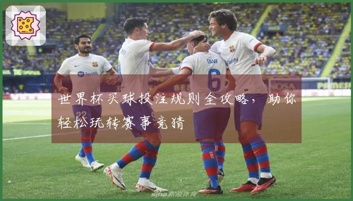 世界杯买球投注规则全攻略，助你轻松玩转赛事竞猜