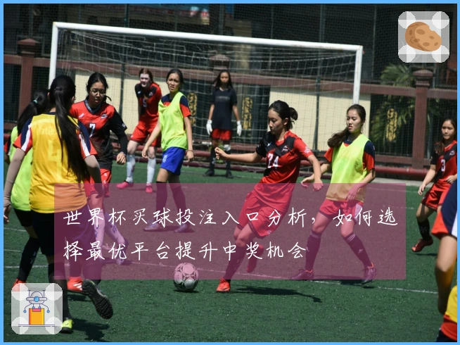 世界杯买球投注入口分析，如何选择最优平台提升中奖机会