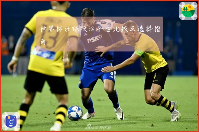 世界杯让球投注平台比较及选择指南