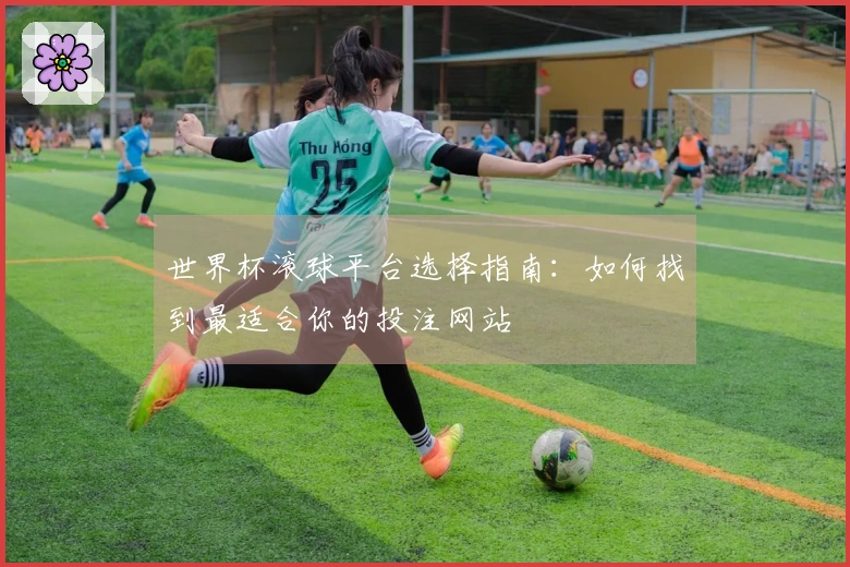 世界杯滚球平台选择指南:如何找到最适合你的投注网站
