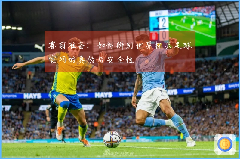赛前准备：如何辨别世界杯买足球官网的真伪与安全性