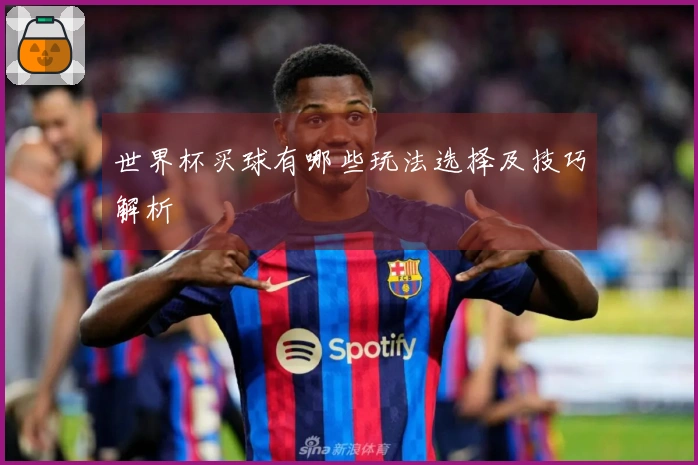 世界杯买球有哪些玩法选择及技巧解析