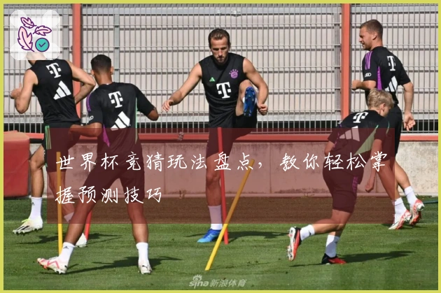 世界杯竞猜玩法盘点，教你轻松掌握预测技巧