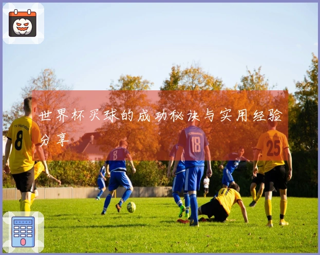 世界杯买球的成功秘诀与实用经验分享