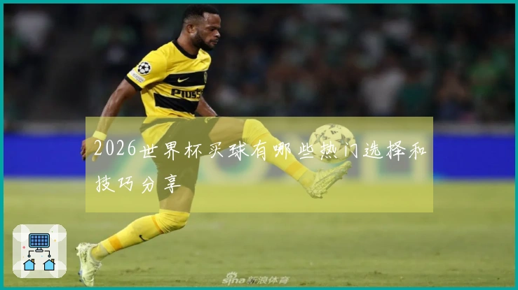 2026世界杯买球有哪些热门选择和技巧分享