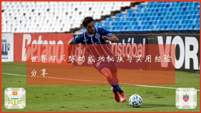 世界杯买球的成功秘诀与实用经验分享