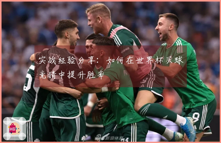 实战经验分享：如何在世界杯买球竞猜中提升胜率