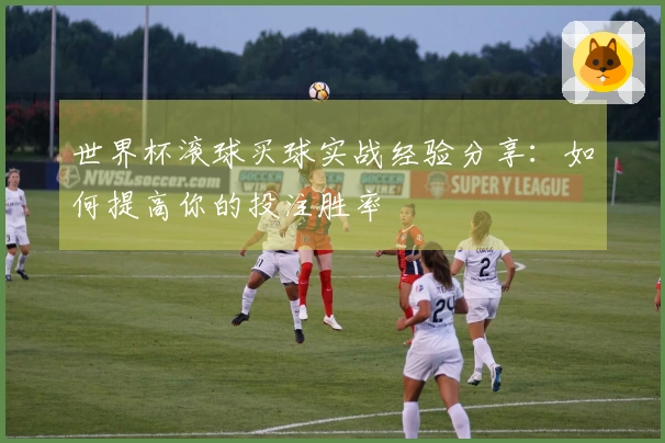 世界杯滚球买球实战经验分享:如何提高你的投注胜率