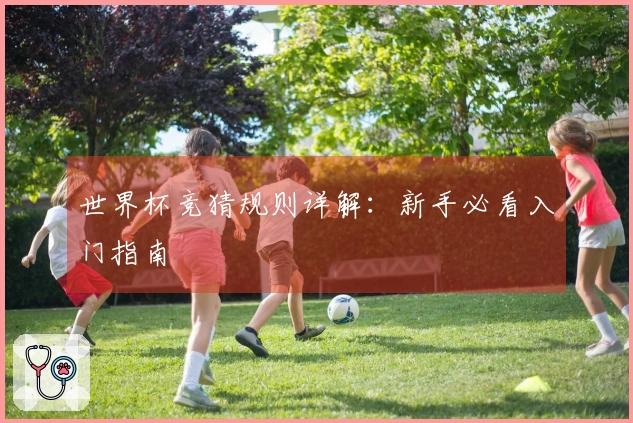 世界杯竞猜规则详解：新手必看入门指南