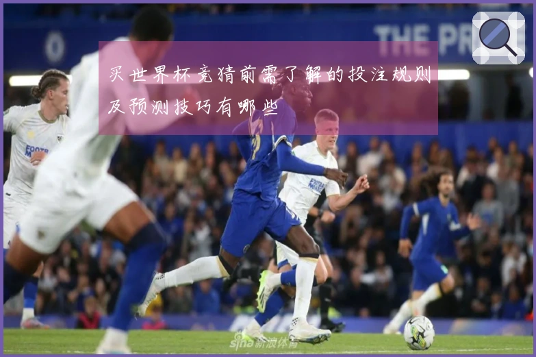 买世界杯竞猜前需了解的投注规则及预测技巧有哪些