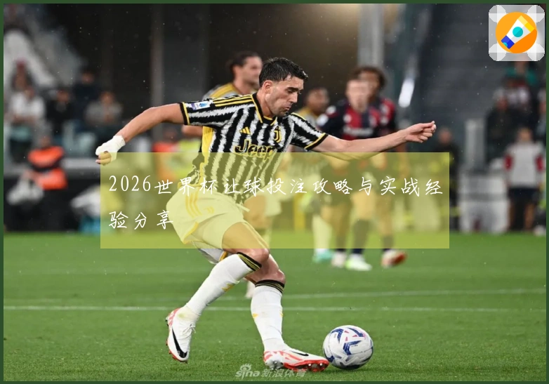 2026世界杯让球投注攻略与实战经验分享