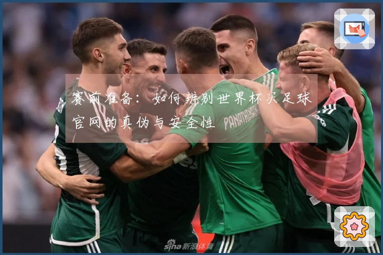 赛前准备：如何辨别世界杯买足球官网的真伪与安全性