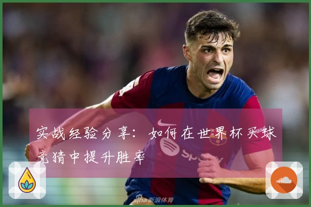 实战经验分享：如何在世界杯买球竞猜中提升胜率