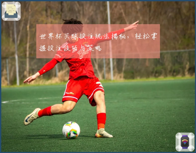 世界杯买球投注玩法揭秘，轻松掌握投注技巧与策略