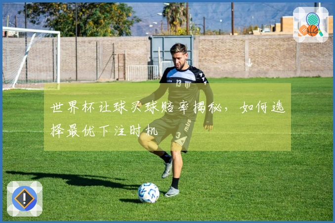 世界杯让球买球赔率揭秘，如何选择最优下注时机