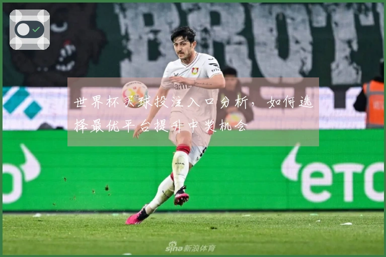 世界杯买球投注入口分析，如何选择最优平台提升中奖机会
