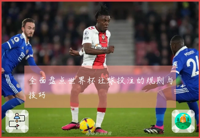 全面盘点世界杯让球投注的规则与技巧
