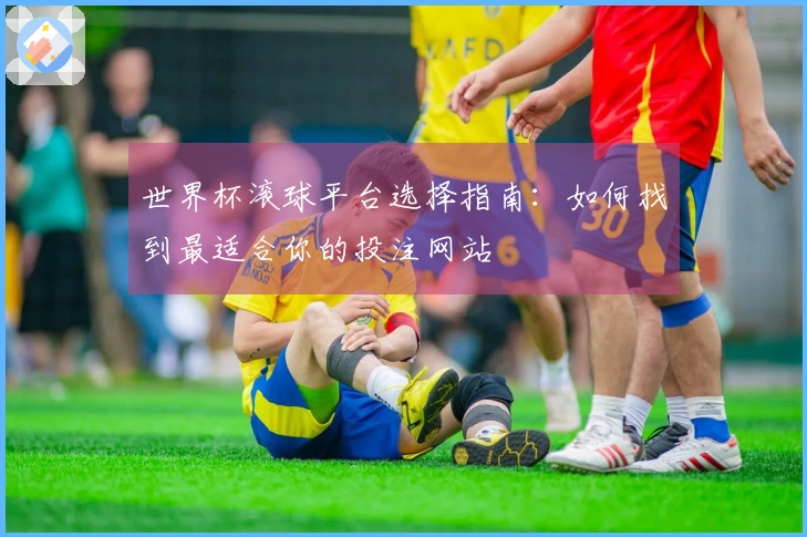 世界杯滚球平台选择指南：如何找到最适合你的投注网站