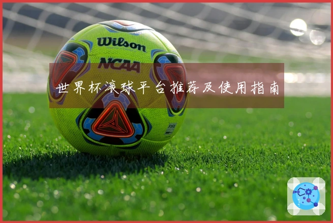 世界杯滚球平台推荐及使用指南